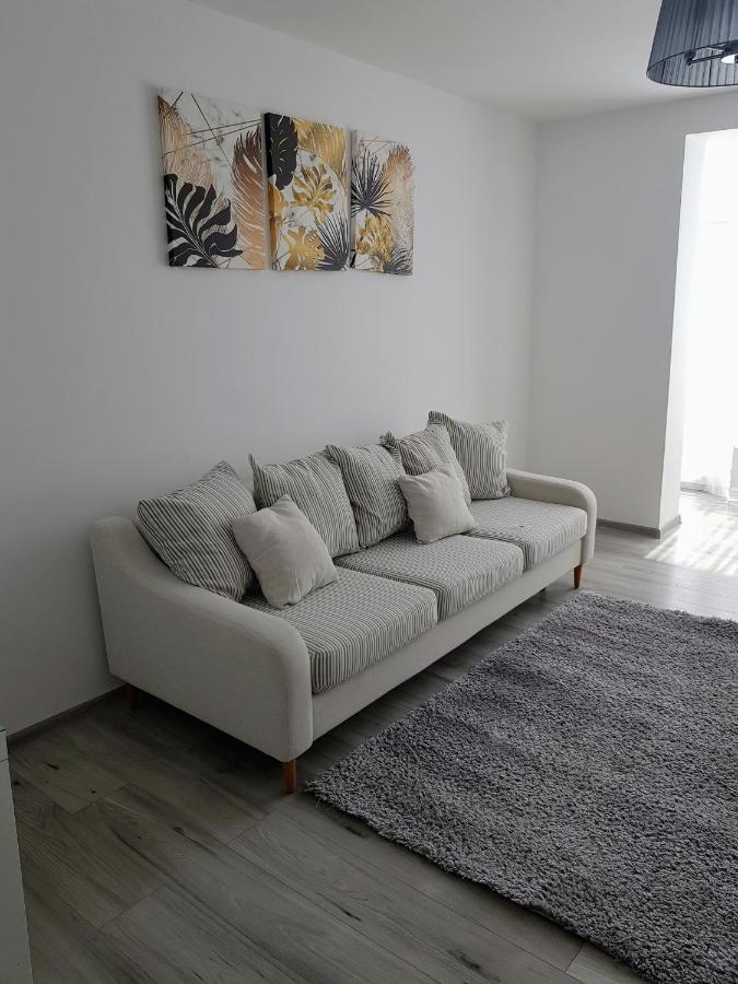 Alexa Apartament Târgu-Mureş Dış mekan fotoğraf